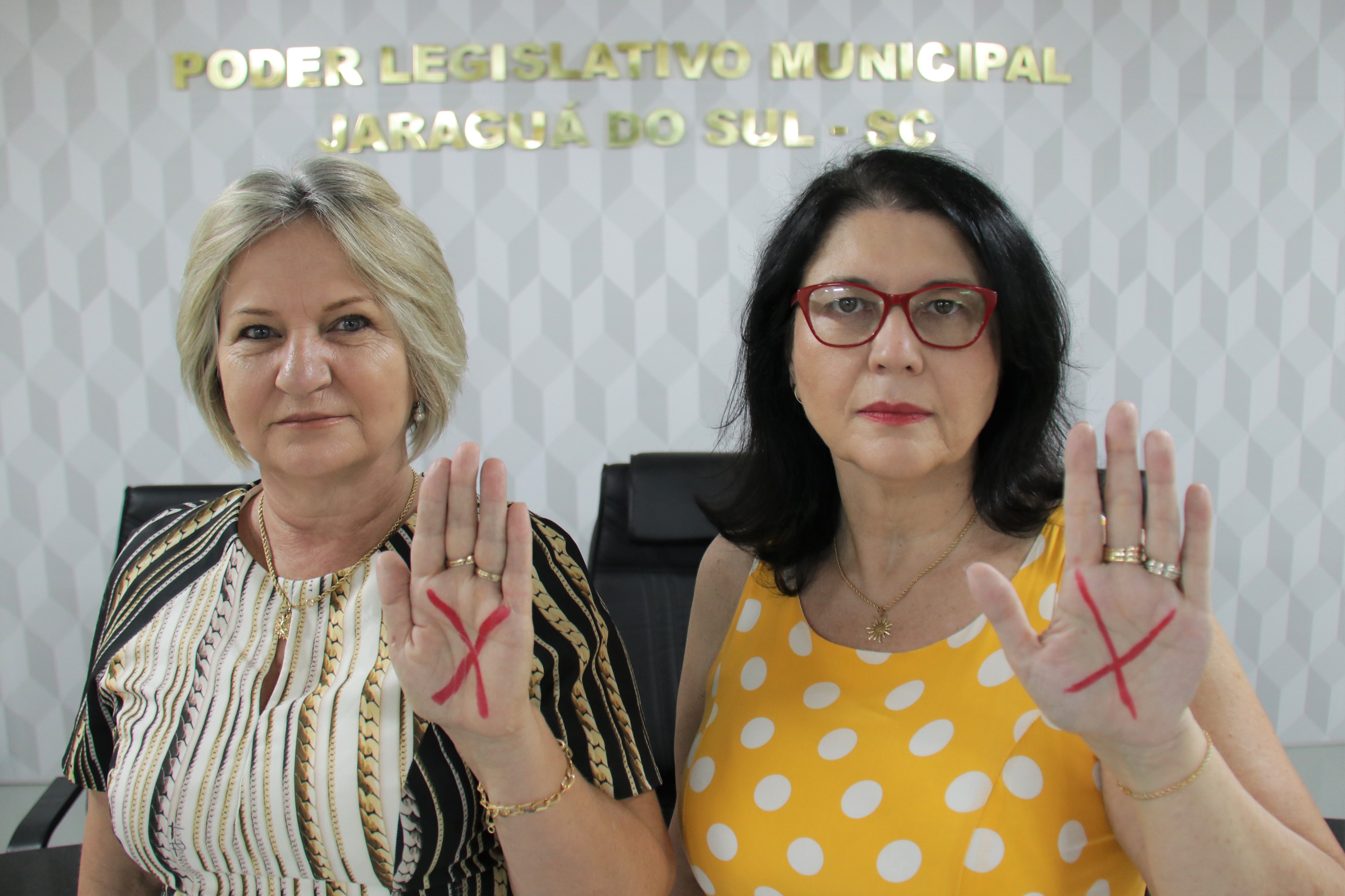 <strong>Vereadoras pedem campanha informativa sobre a Lei do Sinal Vermelho</strong>