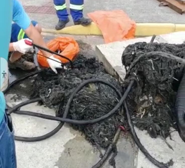 <strong>Alerta: Cabelo é o que mais obstrui a rede coletora de esgoto</strong>