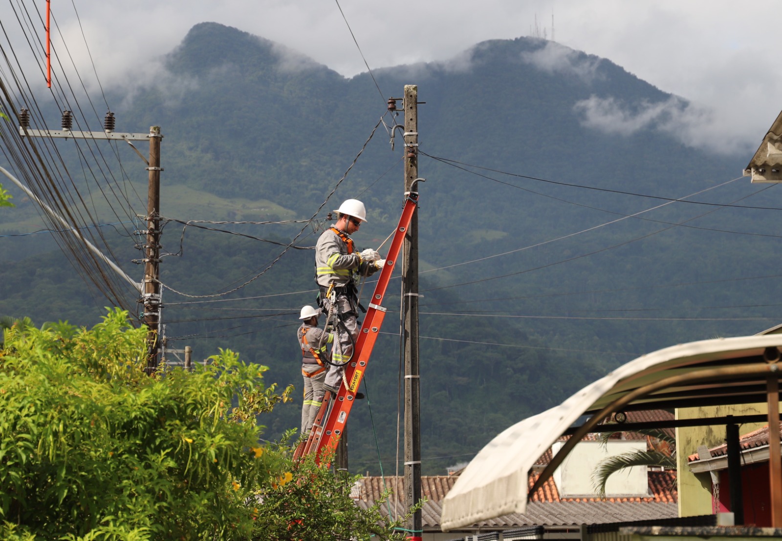 <strong>Celesc dá início a limpeza da rede elétrica no Município</strong>