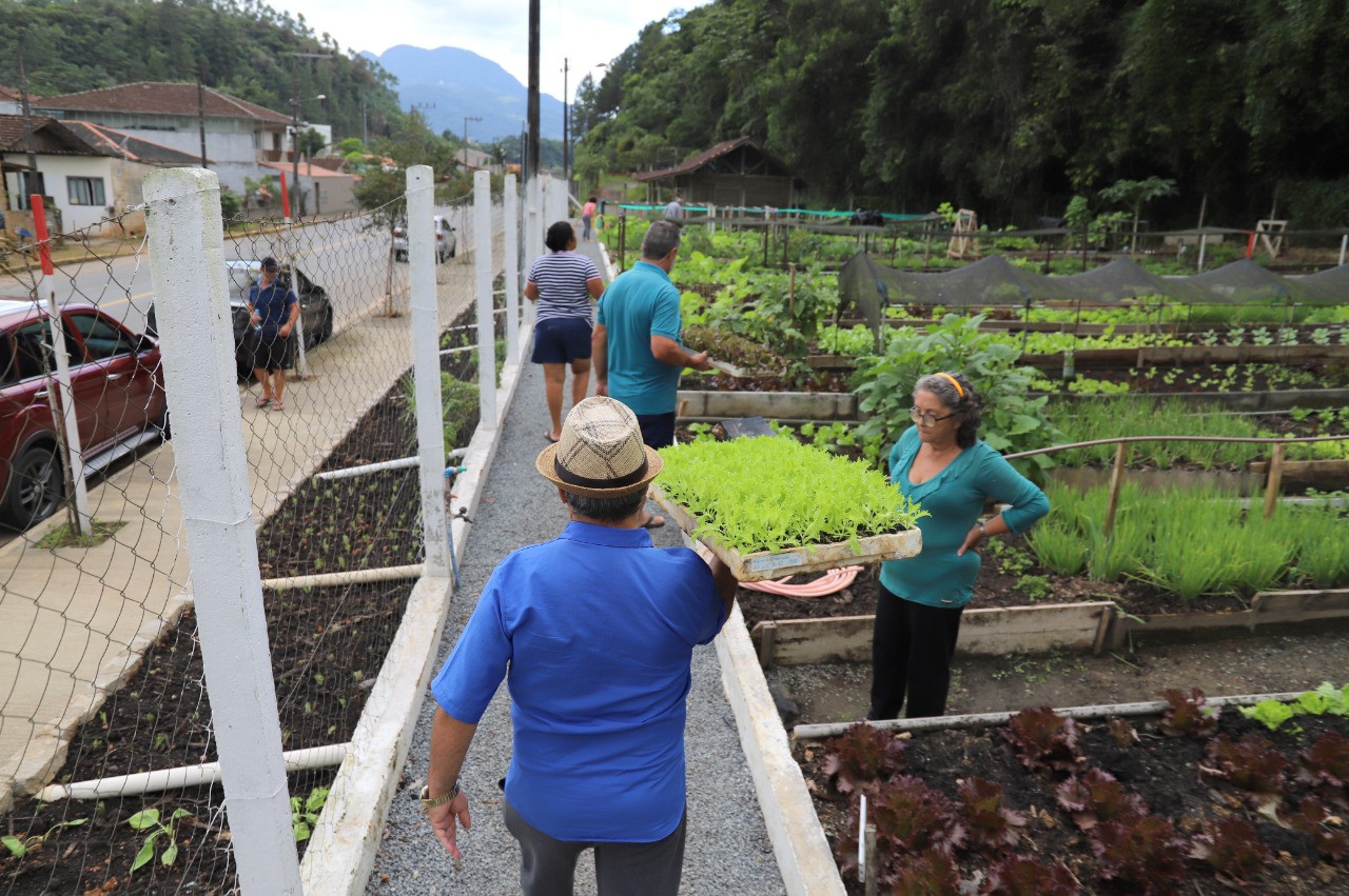 Jaraguá do Sul chega a 54 hortas comunitárias em 22 bairros