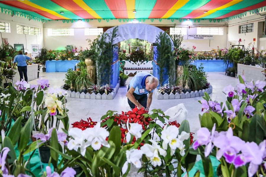 15ª Exposição de Orquídeas recebeu quase 4 mil visitantes