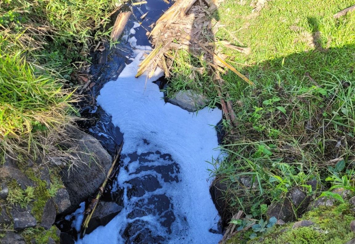 Fujama investiga casos de poluição ambiental