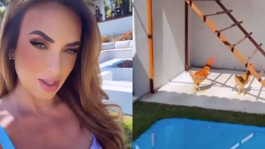 Nicole Bahls mostra galinheiro luxuoso com piscina em mansão