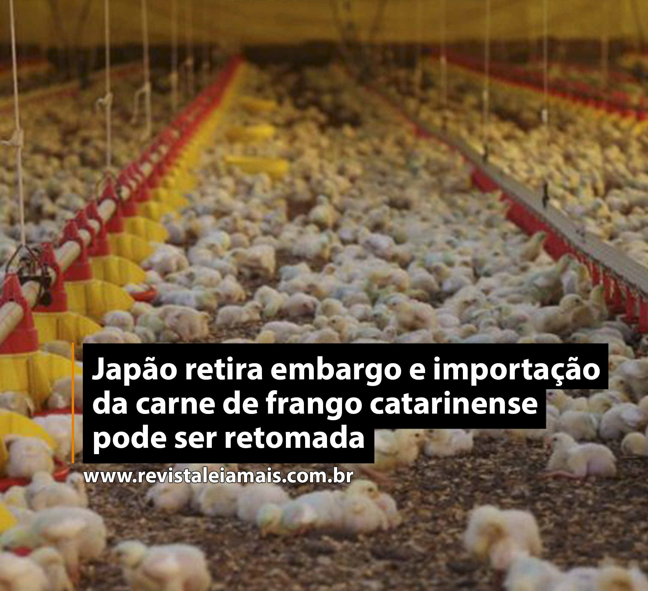 Japão retira embargo e importação da carne de frango catarinense pode ser retomada