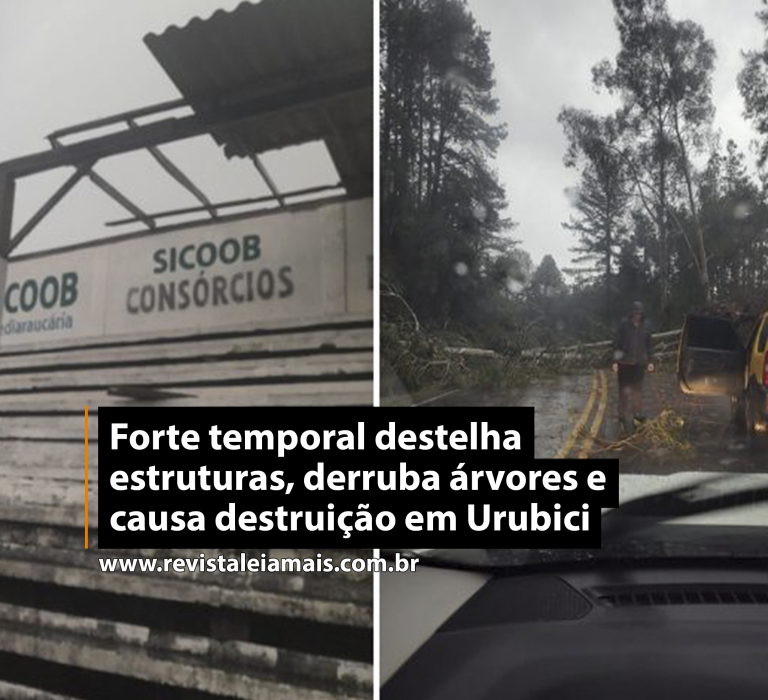 Forte temporal destelha estruturas, derruba árvores e causa destruição em Urubici