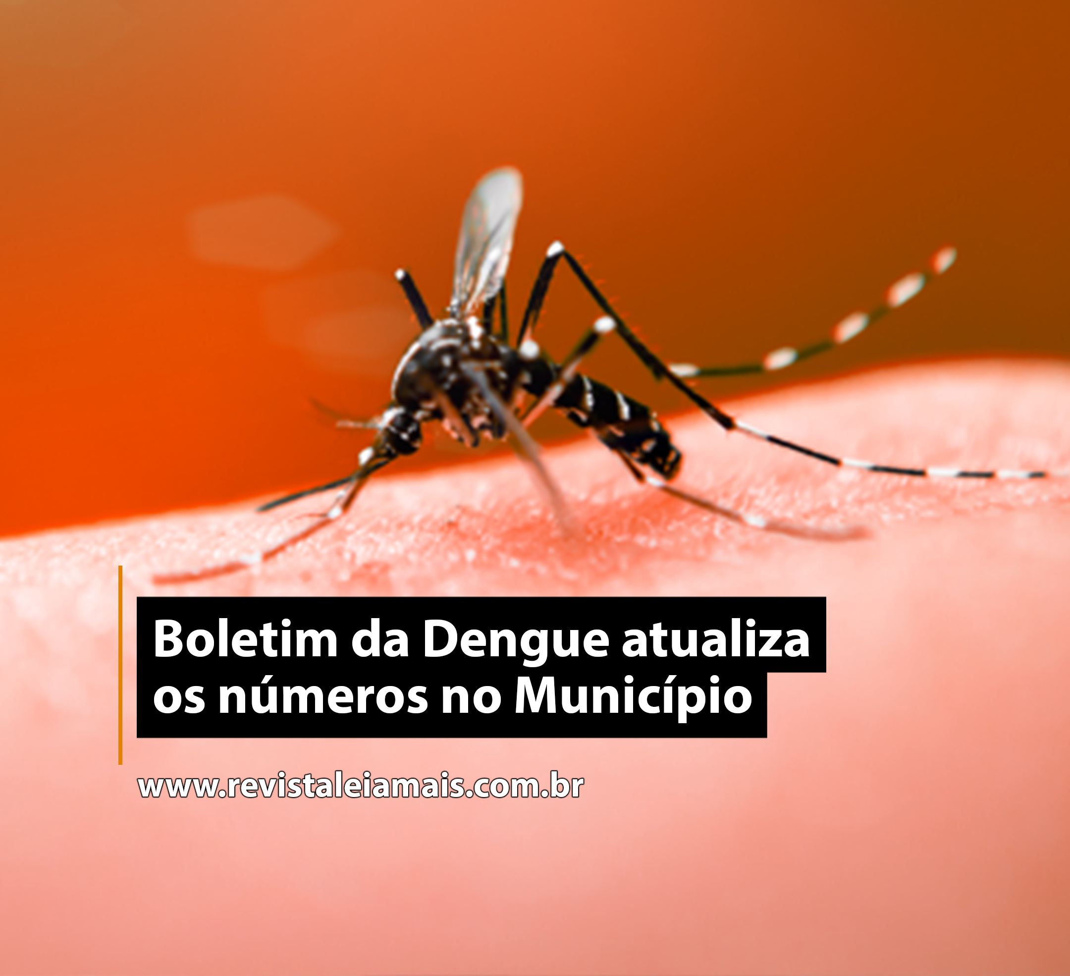 Boletim da Dengue atualiza os números no Município