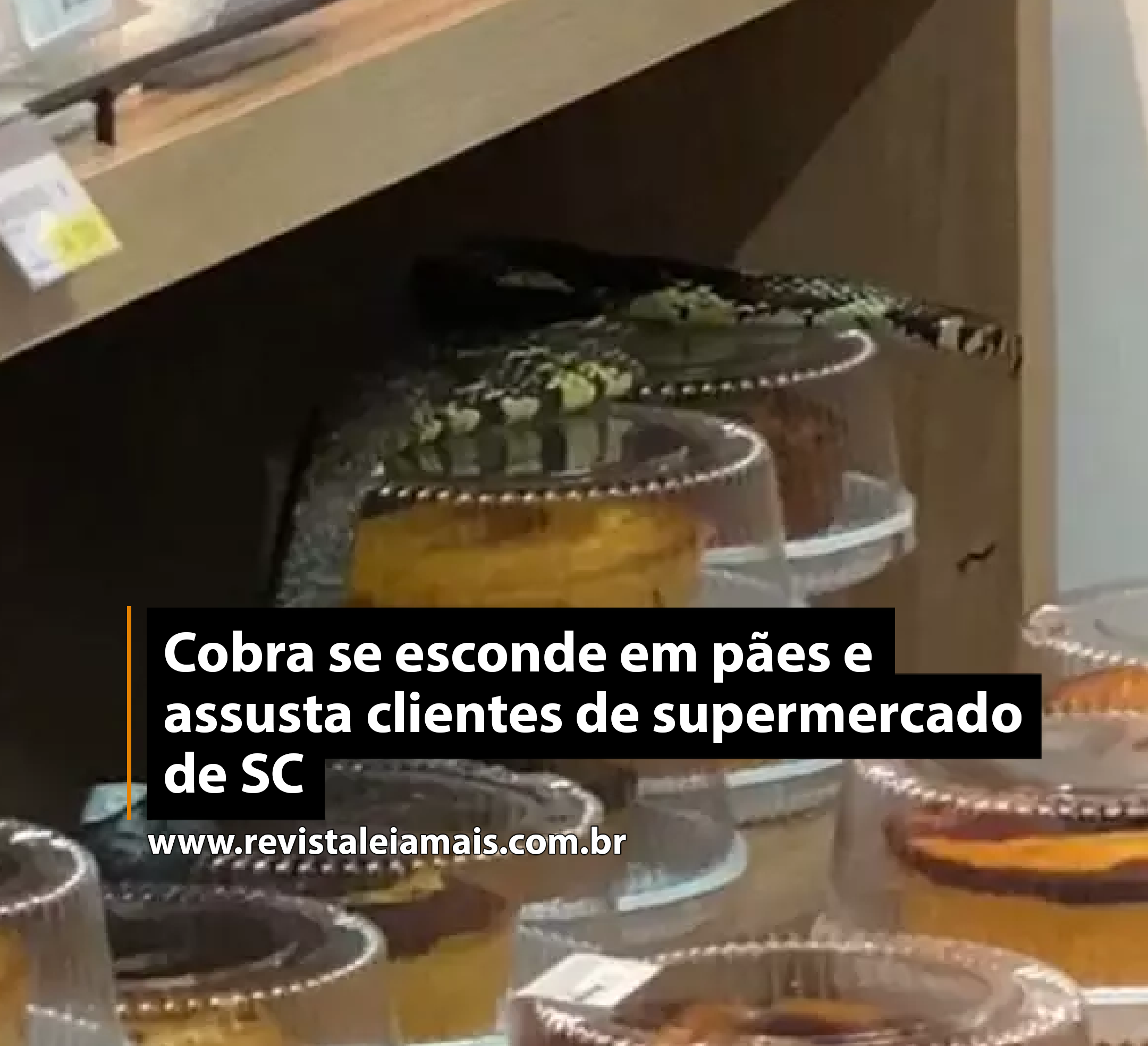Cobra se esconde em pães e assusta clientes de supermercado de SC