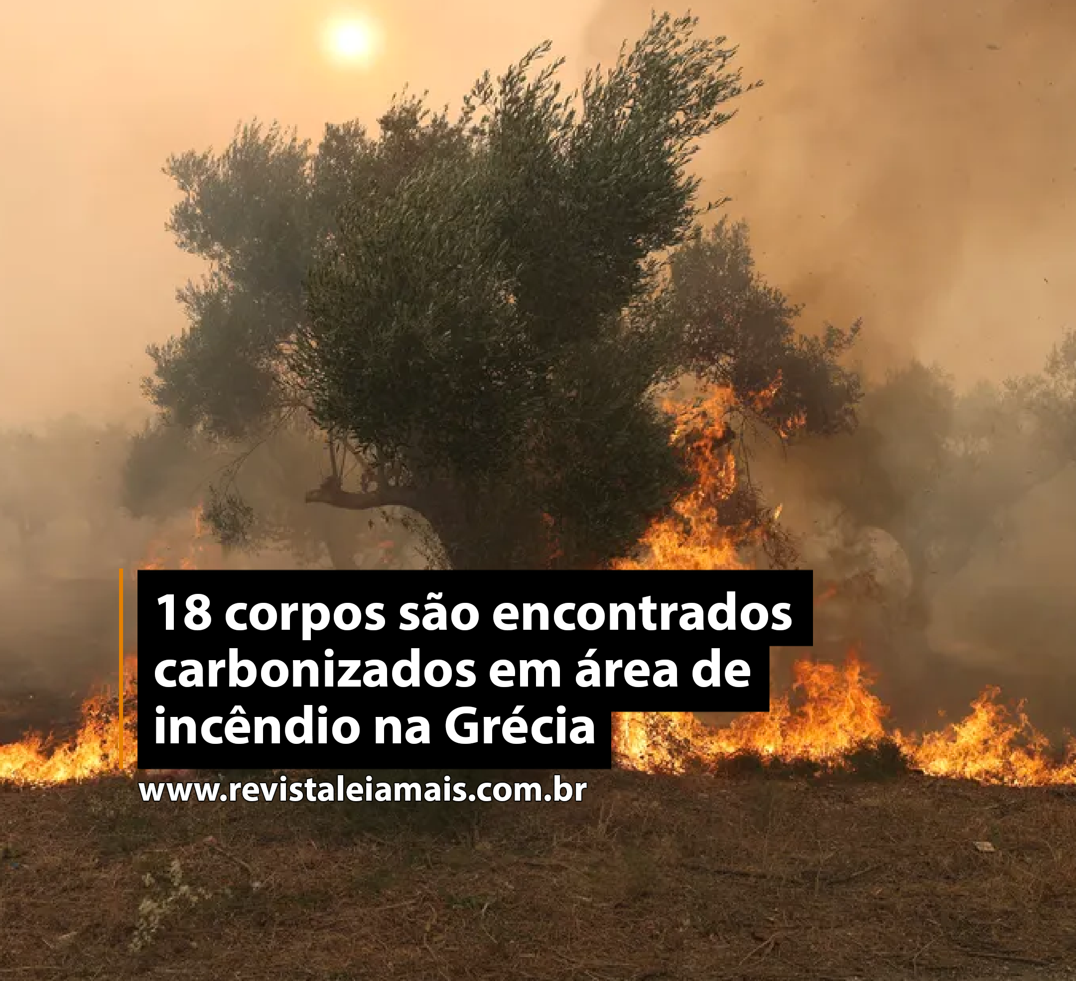 18 corpos são encontrados carbonizados em área de incêndio na Grécia
