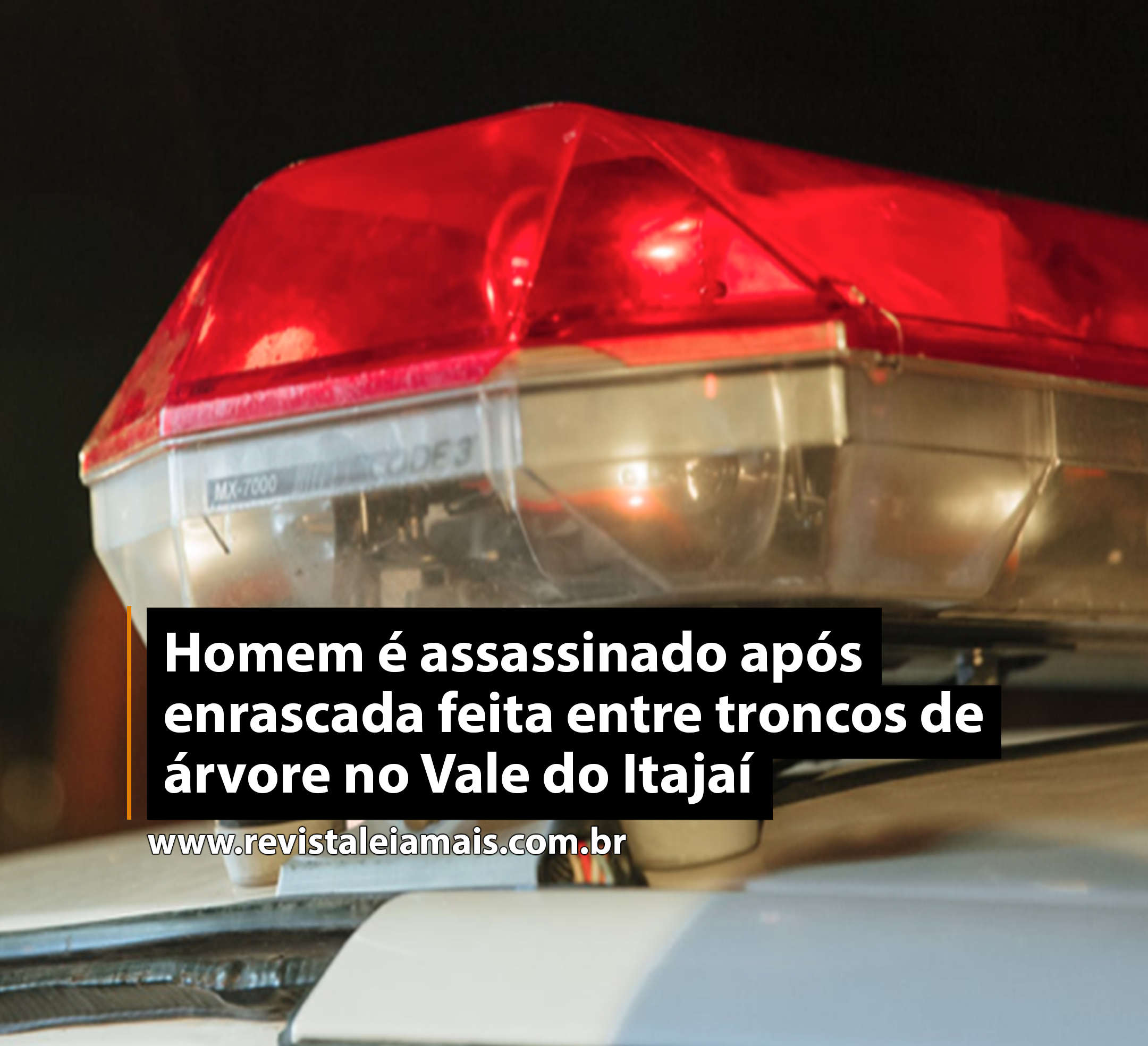 Homem é assassinado após enrascada feita entre troncos de árvore no Vale do Itajaí