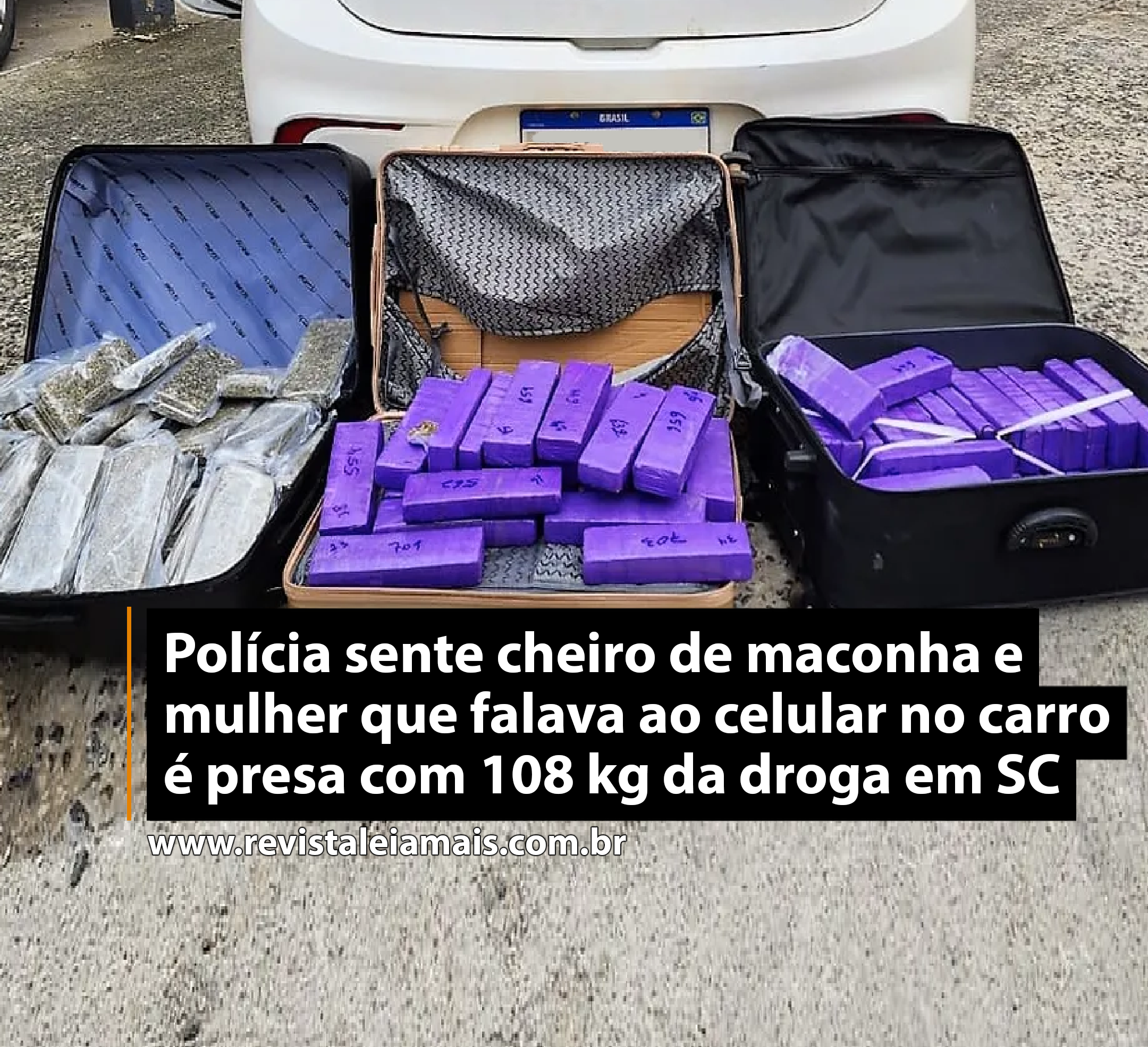 Polícia sente cheiro de maconha e mulher que falava ao celular no carro é presa com 108 kg da droga em SC