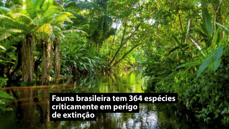 Fauna brasileira tem 364 espécies criticamente em perigo de extinção