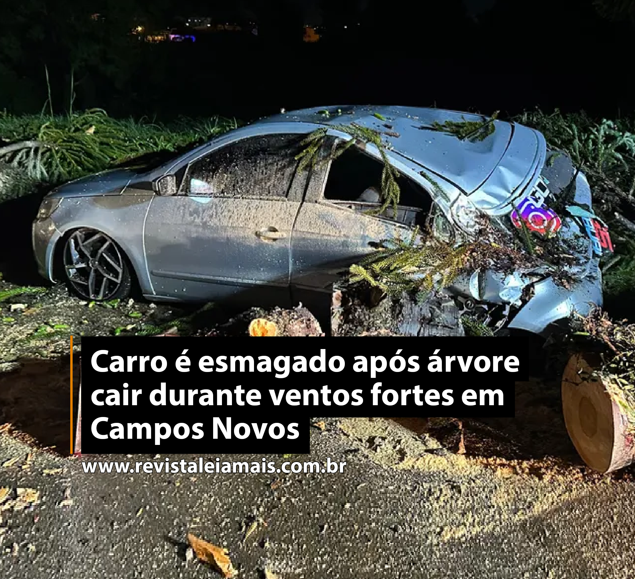 Carro é esmagado após árvore cair durante ventos fortes em Campos Novos