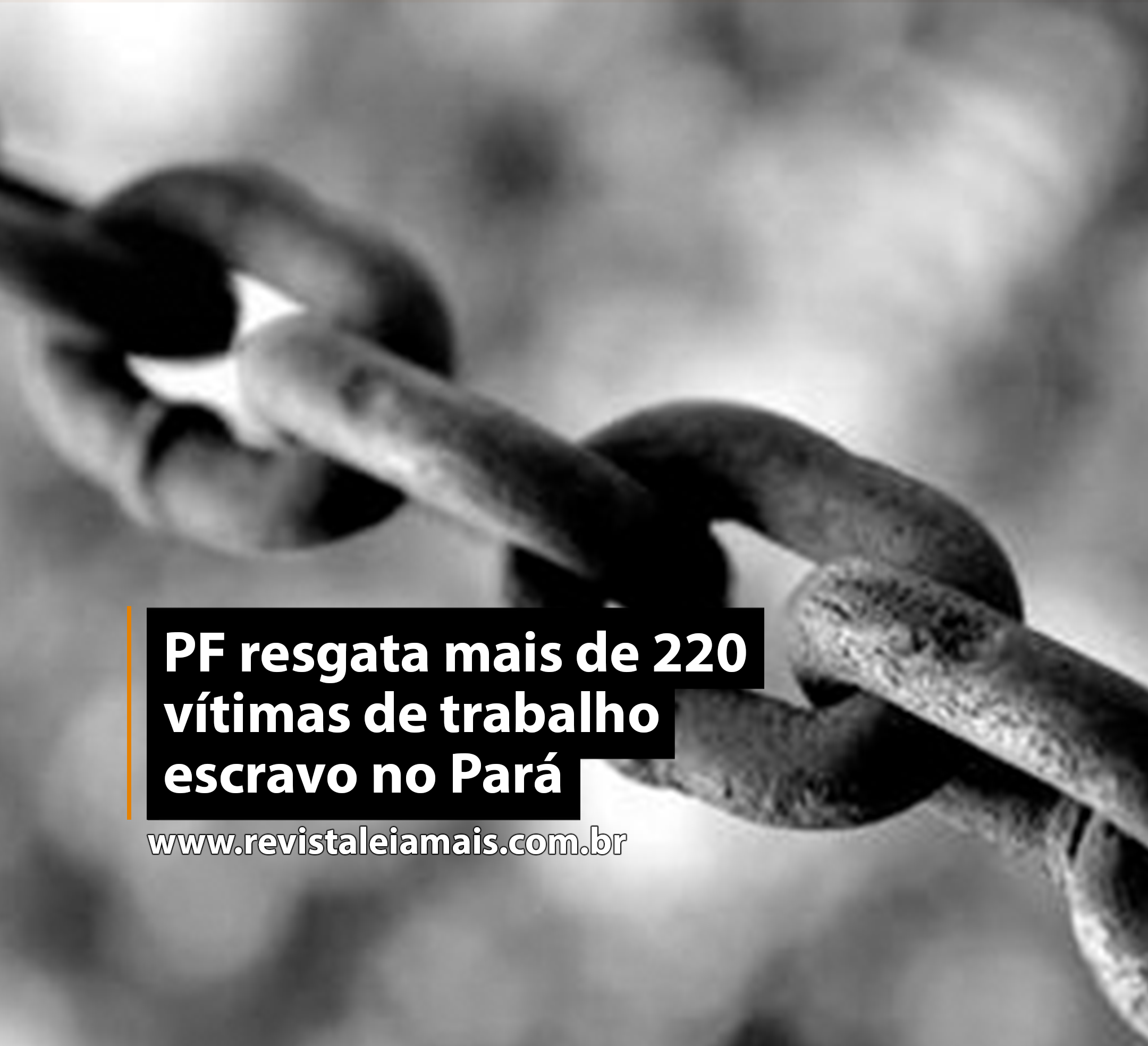 PF resgata mais de 220 vítimas de trabalho escravo no Pará