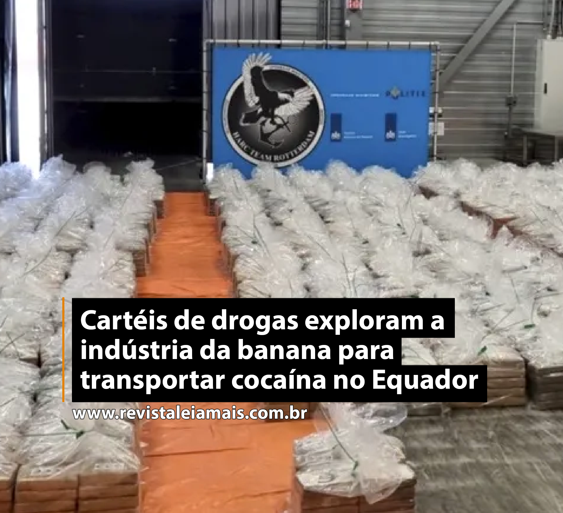Cartéis de drogas exploram a indústria da banana para transportar cocaína no Equador