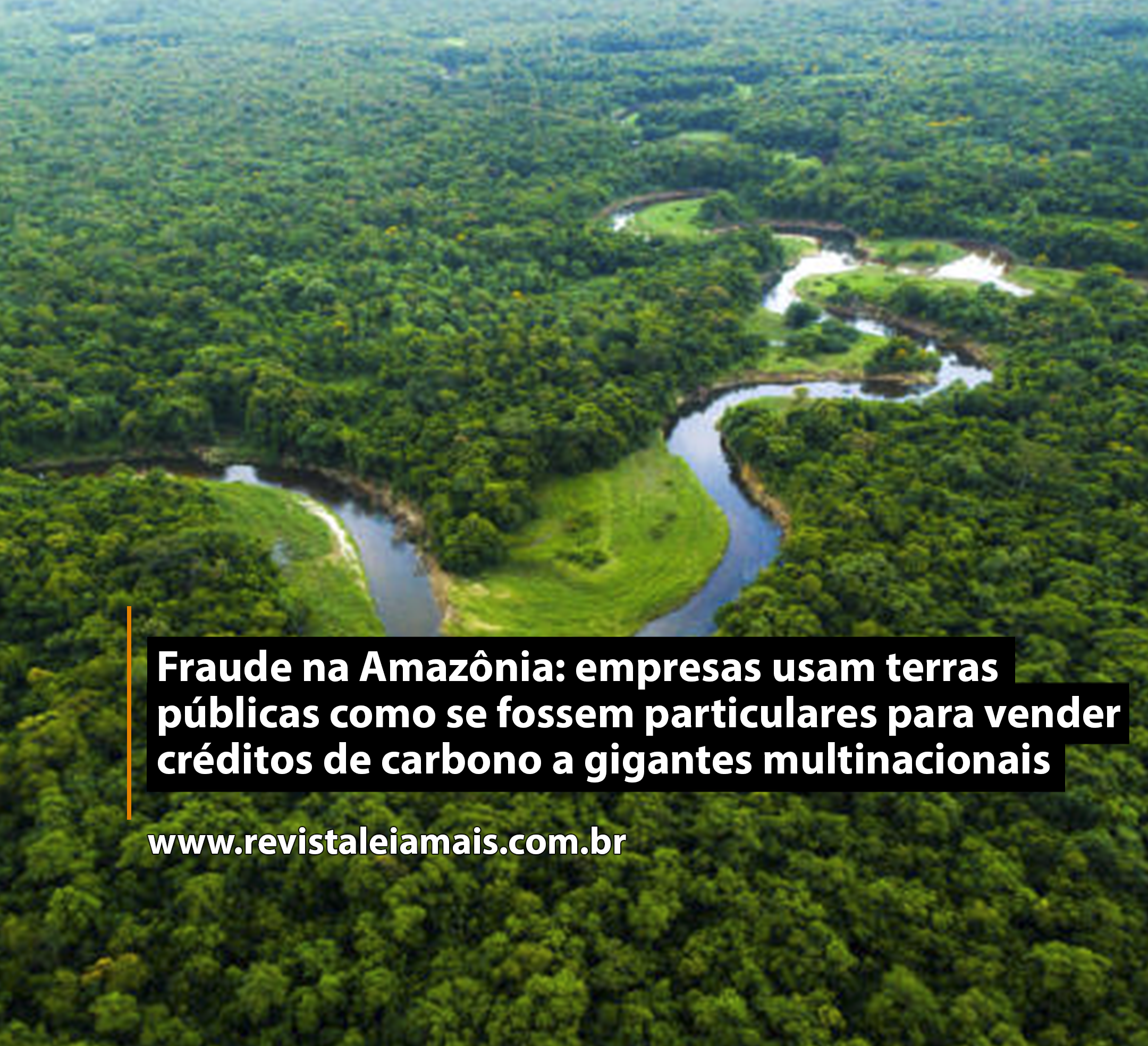 Fraude na Amazônia: empresas usam terras públicas como se fossem particulares para vender créditos de carbono a gigantes multinacionais