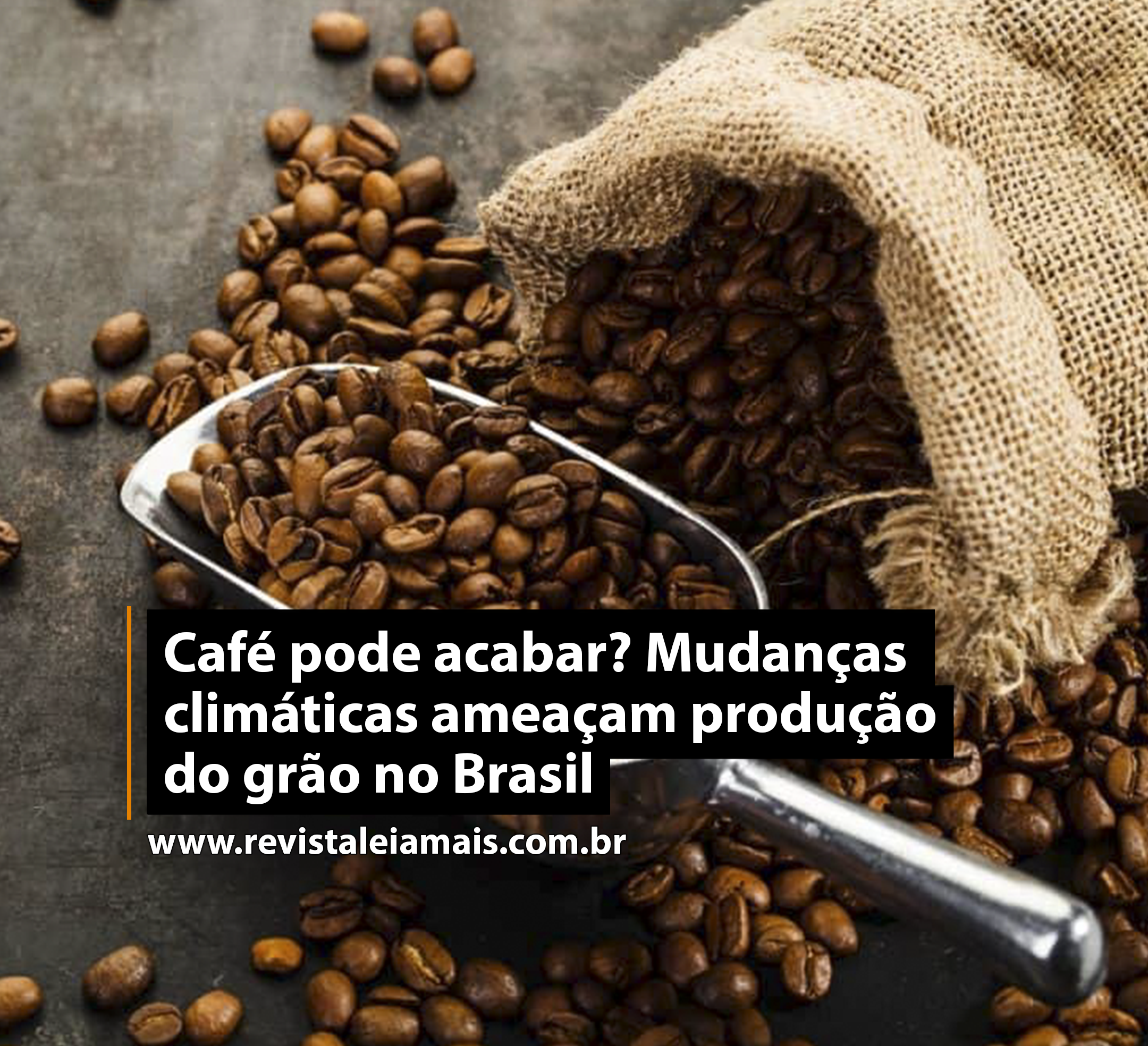 Café pode acabar? Mudanças climáticas ameaçam produção do grão no Brasil