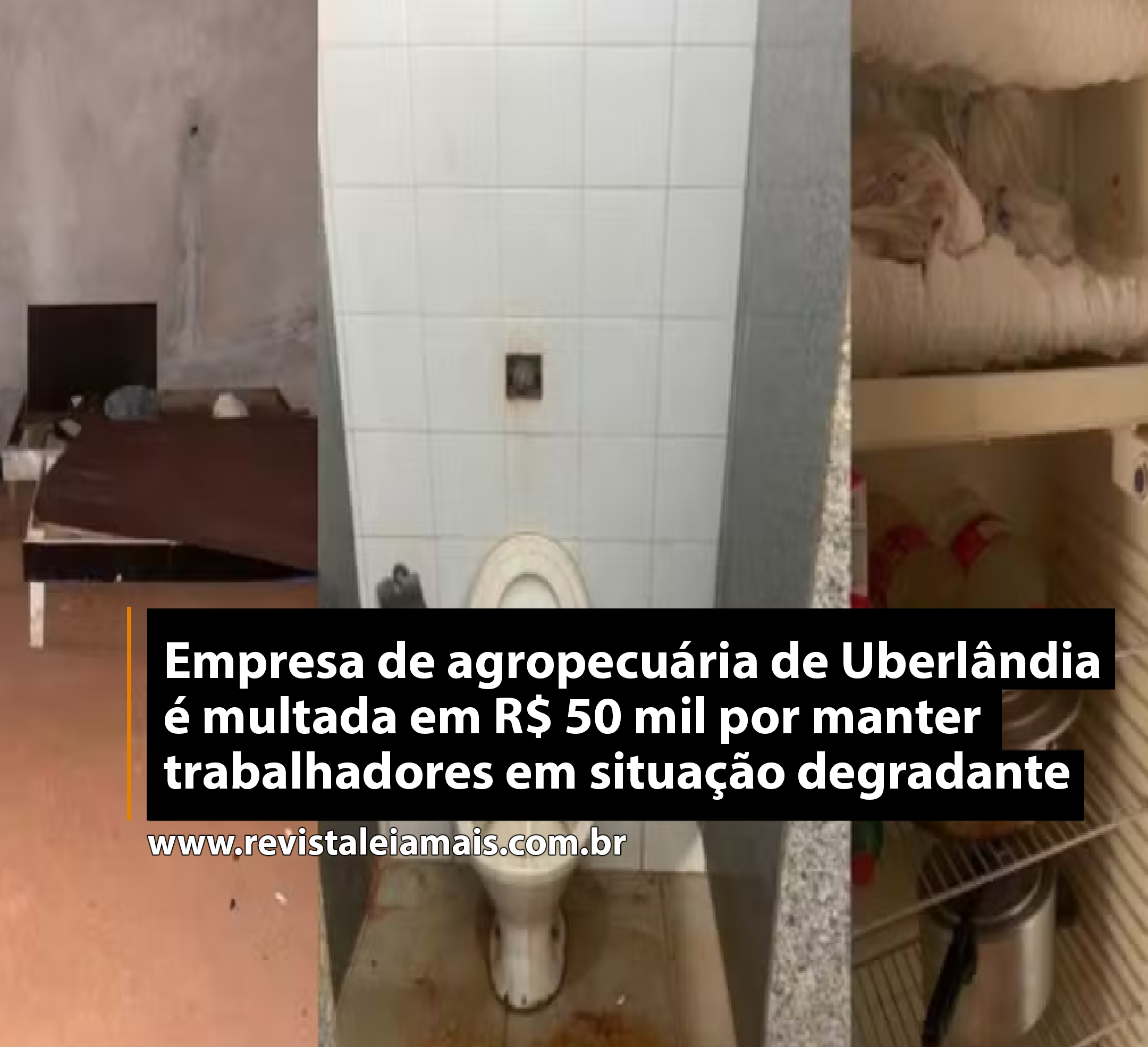 Empresa de agropecuária de Uberlândia é multada em R$ 50 mil por manter trabalhadores em situação degradante