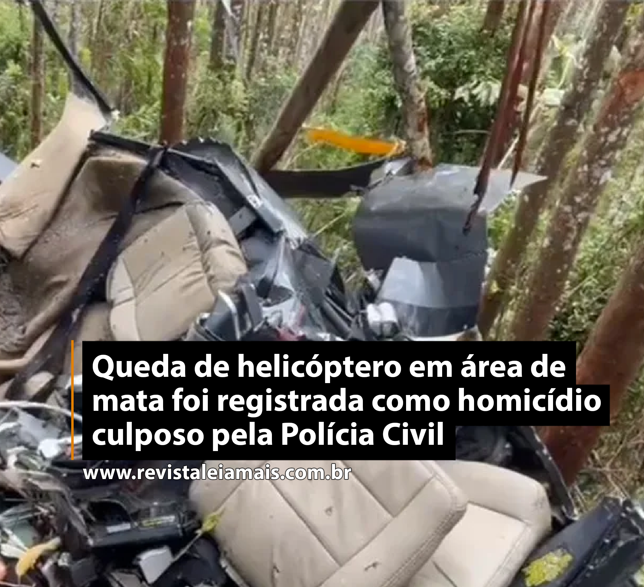 Queda de helicóptero em área de mata foi registrada como homicídio culposo pela Polícia Civil