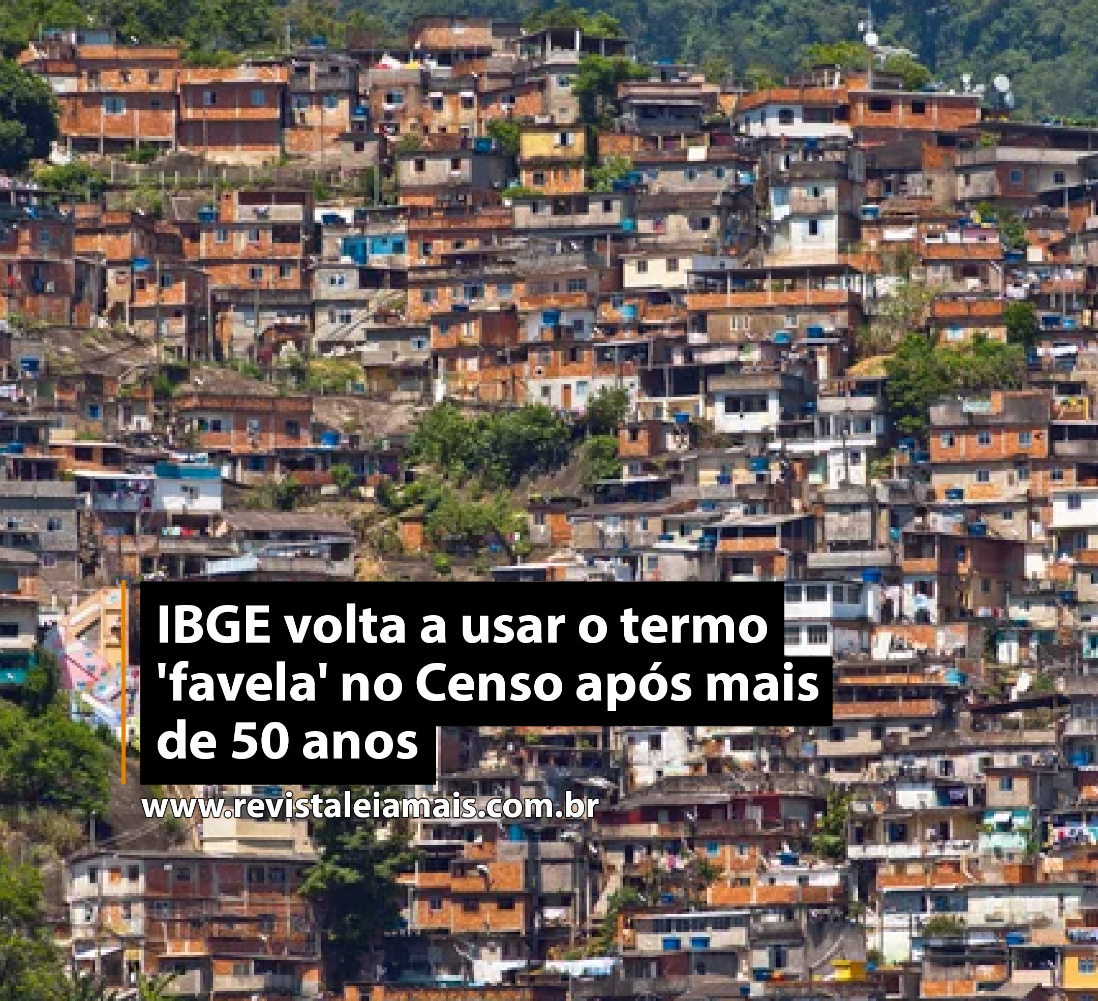 IBGE volta a usar o termo 'favela' no Censo após mais de 50 anos